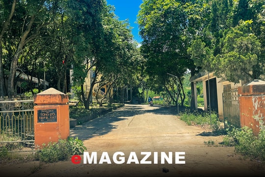 Giải thể các Tổng đội Thanh niên xung phong - Xây dựng kinh tế tại Nghệ An và những vấn đề đặt ra