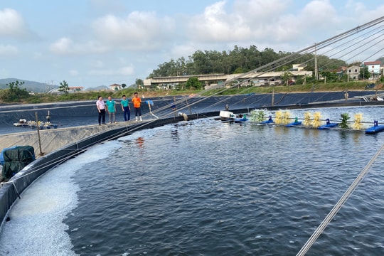 Nghệ An triển khai gói 15.000 tỷ đồng cho vay ưu đãi đối với lâm sản, thủy sản