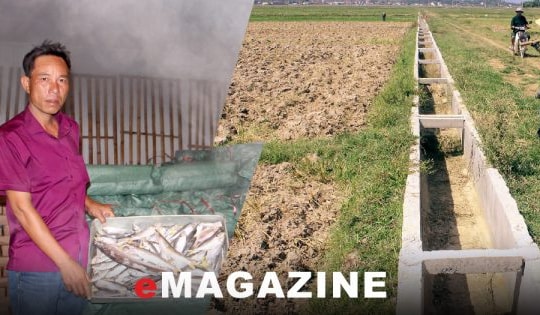 Cấp thiết đa dạng hoá nguồn cung năng lượng sạch – Bài 2: Vật vã, thiệt hại kép khi “mất” điện