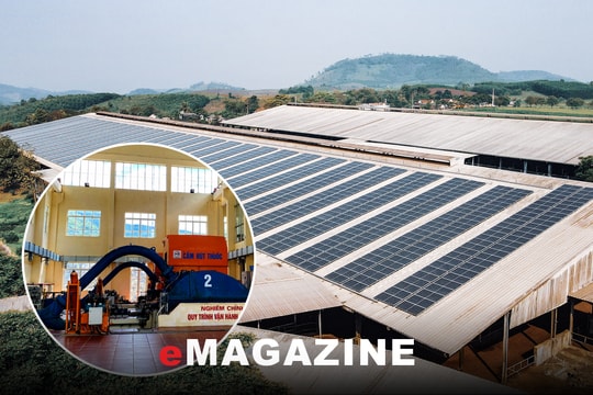 Cấp thiết đa dạng hoá nguồn cung năng lượng sạch