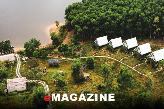 Vụ nhà chòi ‘tự mọc’ trên Đảo Chè: Dỡ nhà chòi, kỷ luật cán bộ!