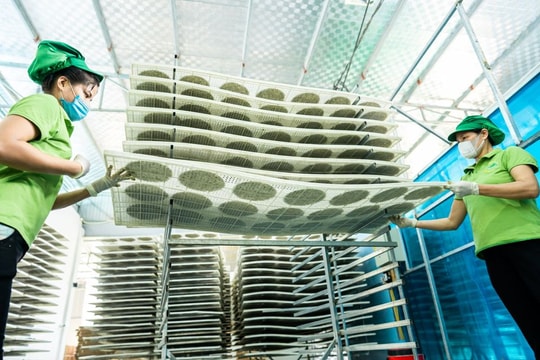 Gỡ khó cho nông dân Nghệ An trong chuyển đổi số và khởi nghiệp sáng tạo