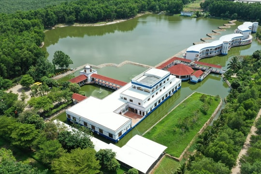 Ngoài chứng nhận ‘trung hoà carbon’ đầu tiên tại Việt Nam, Vinamilk còn đầu tư gì cho những trang trại ‘xanh’?