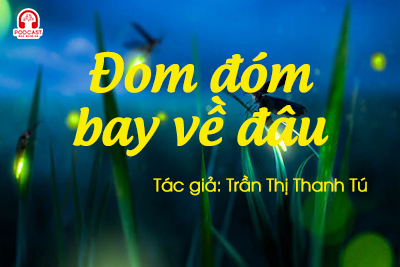 Tản văn hay: Đom đóm bay về đâu