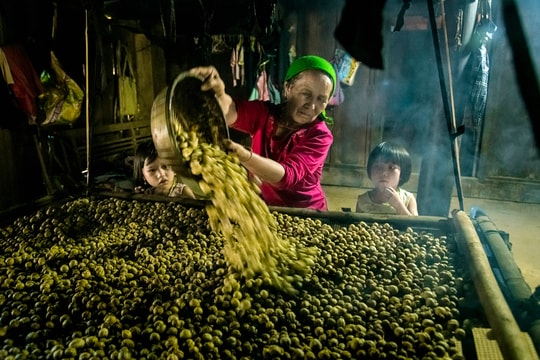 Xã vùng cao Kỳ Sơn vào mùa hái bo bo 