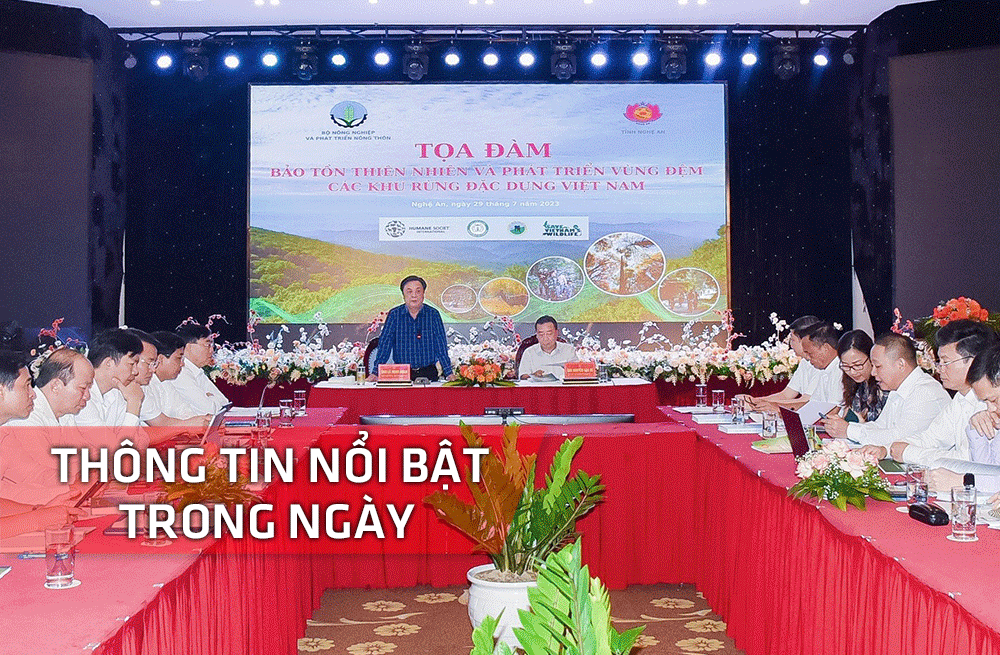 Thông tin nổi bật tỉnh Nghệ An ngày 29/7