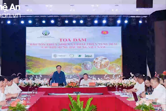 Điểm tin ngày 29/7