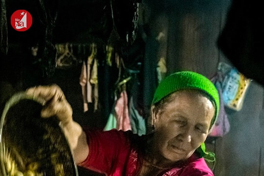 Bo bo Nghệ An vào chính vụ