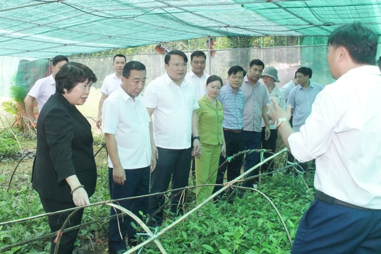 Chủ nhiệm Ủy ban Xã hội của Quốc hội: Chú trọng nâng cao nhận thức, khát vọng thoát nghèo, làm giàu trong nhân dân