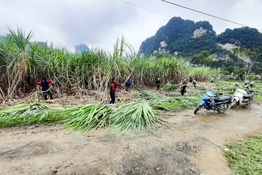 Tổ đổi công - mô hình giải bài toán thiếu lao động ở các xã miền núi Nghệ An