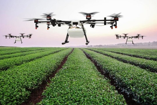 Trí tuệ nhân tạo được ứng dụng trong nông nghiệp như thế nào?
