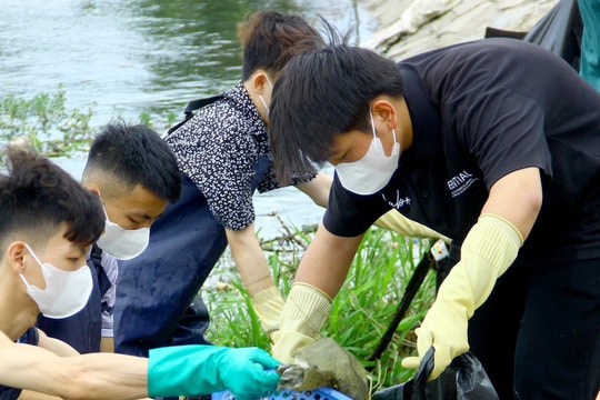 20 thanh niên Thành phố Vinh lội bùn gom rác tại hồ điều hòa Vinh