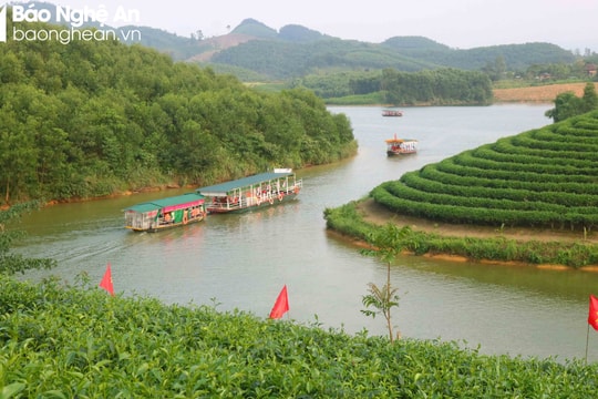 3 vùng nước thủy nội địa ở Nghệ An chưa được cấp phép nhưng vẫn hoạt động