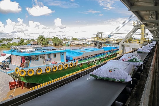 Giá phân bón dự kiến sẽ tăng mạnh trong tháng tới