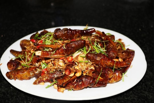 Người phụ nữ tử vong sau khi ăn côn trùng 