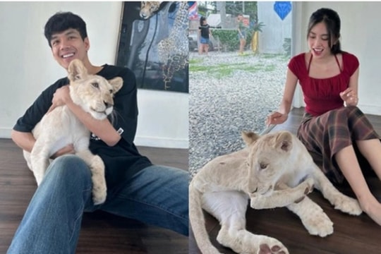 Hoa hậu Tiểu Vy vướng tin đồn hẹn hò tài tử Thái Lan - Nicky Nachat, ê-kíp nói gì?