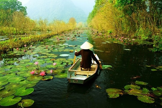 Cẩm nang du lịch nổi tiếng tiết lộ thời điểm thích hợp để khám phá Việt Nam