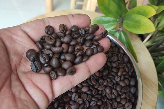 Giá gas tháng 8 tăng trở lại; Giá vàng, thép, cà phê trong nước tiếp tục giảm