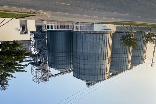 Phát triển nhiên liệu sinh khối chưa tương xứng tiềm năng 