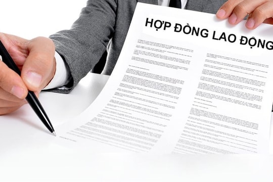 Đề nghị các địa phương, cơ quan, đơn vị rà soát các trường hợp lao động hợp đồng