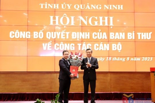 Ban Bí thư điều động, chỉ định tân Phó Bí thư Tỉnh ủy
