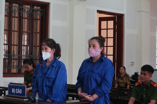 Đôi bạn trung niên 'khởi nghiệp' bằng ma túy