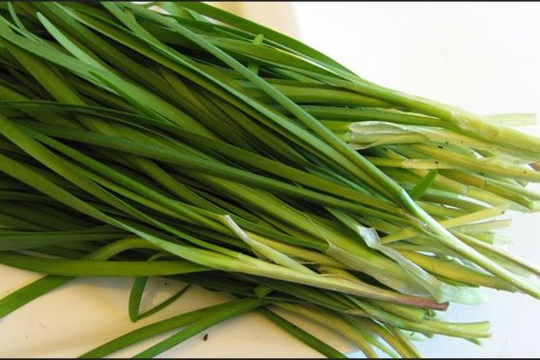 3 vị thuốc giúp cải thiện táo bón tại nhà