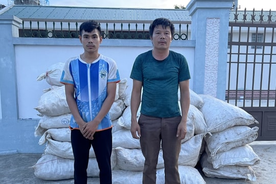 Video: Bắt giữ vụ vận chuyển hơn 4,5 tấn lâm sản trái phép