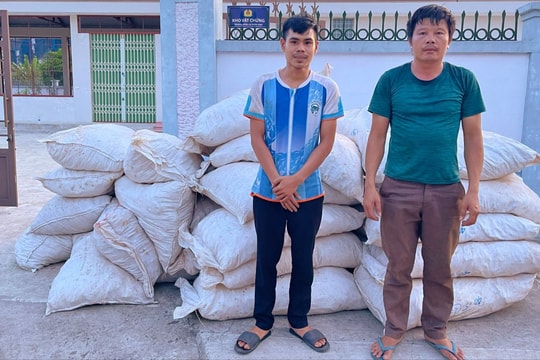 Nghệ An phát hiện xe tải khoét thùng chở 4,5 tấn gỗ trắc và vảy tê tê