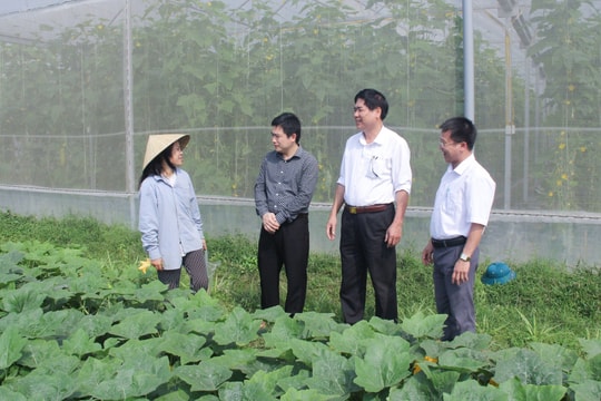 Phong trào ‘3 cần, 3 đúng, 3 không, 3 chống, 3 quyết tâm’ ở Thanh Chương