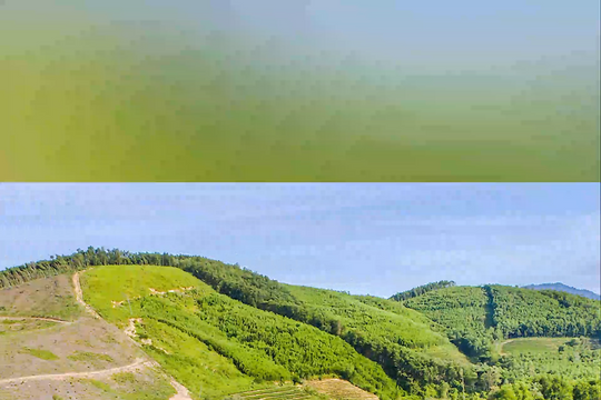 Điểm tin ngày 27/8