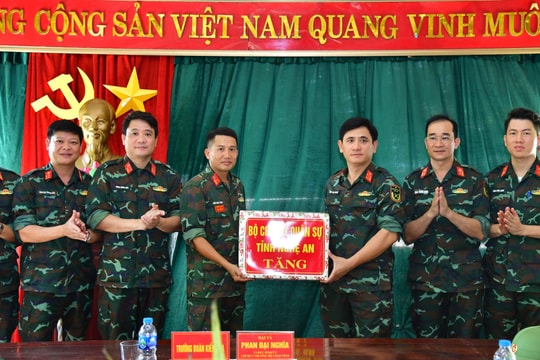 Bộ Chỉ huy Quân sự tỉnh kiểm tra công tác huấn luyện, sẵn sàng chiến đấu tại Tiểu đoàn hỗn hợp Đảo Mắt