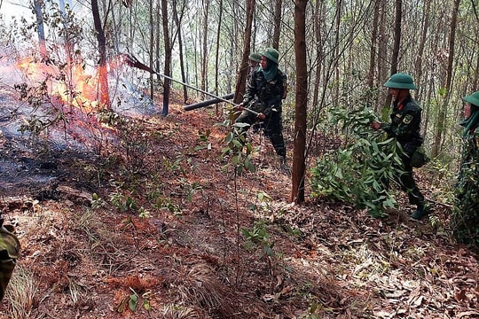 Dập tắt đám cháy rừng tại huyện Nam Đàn
