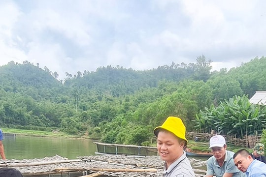 Đầu tư lồng bè nuôi cá trên sông Quàng