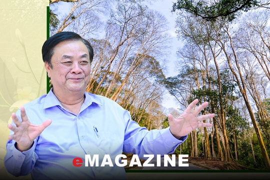 Rừng Nghệ An và những gợi mở của Bộ trưởng Lê Minh Hoan