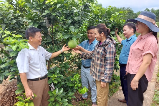 Bí thư xã khéo vận động xây dựng khối đoàn kết ở vùng đặc thù