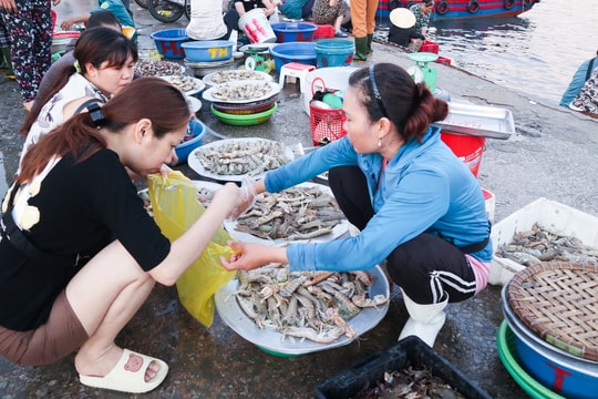 Nhiều đặc sản Nghệ An sẵn hàng phục vụ kỳ nghỉ lễ