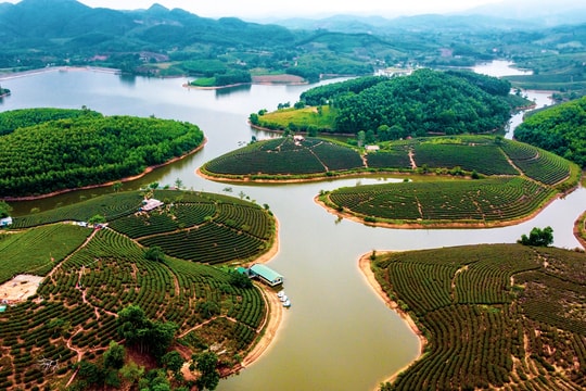 Làm phượng thì múa…