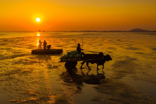 Những điểm du lịch tuyệt đẹp ở Nghệ An vào mùa Thu