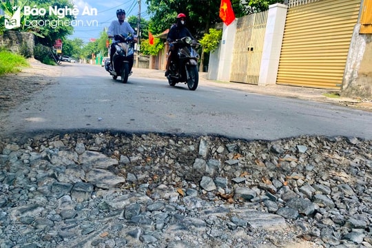 Đường Hải Thượng Lãn Ông ở thành phố Vinh sẽ được mở rộng 24 m như thế nào?