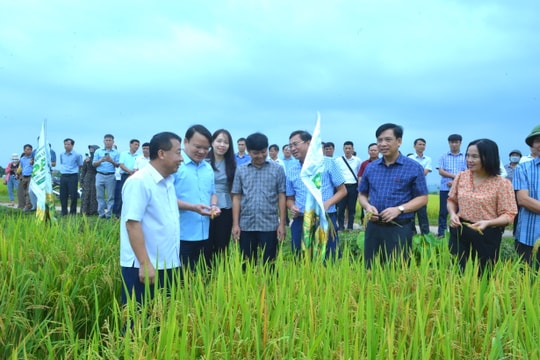 Hội thảo Sử dụng phân bón hữu cơ trên cây lúa và cây chè