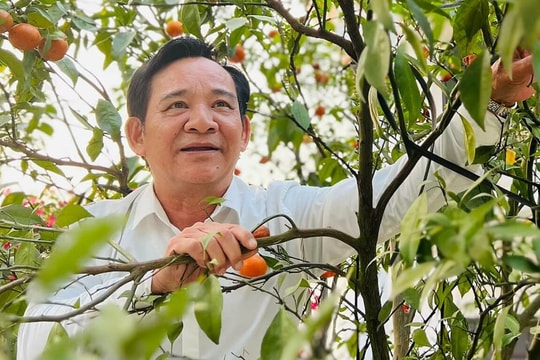 Cuộc sống tuổi 61 của nghệ sĩ Quang Tèo