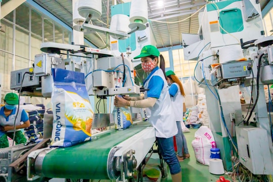 Nghệ An đang ở đâu trên 'bản đồ' thị trường xuất khẩu gạo?