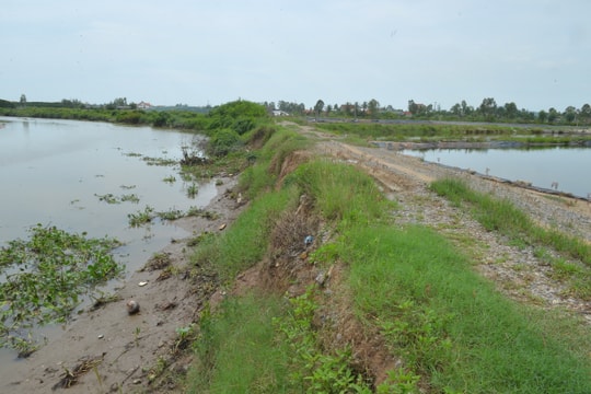 Thấp thỏm nỗi lo từ những tuyến đê xuống cấp 