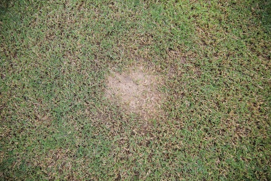 Báo động mặt cỏ sân Vinh khi V.League 2023 - 2024 đang đến gần