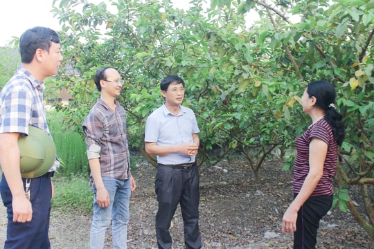 Nghệ An chủ trương ban hành chính sách cho cán bộ luân chuyển 3 cấp