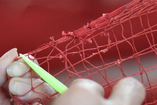 Nghề truyền đời của chị em miệt biển ở Nghệ An