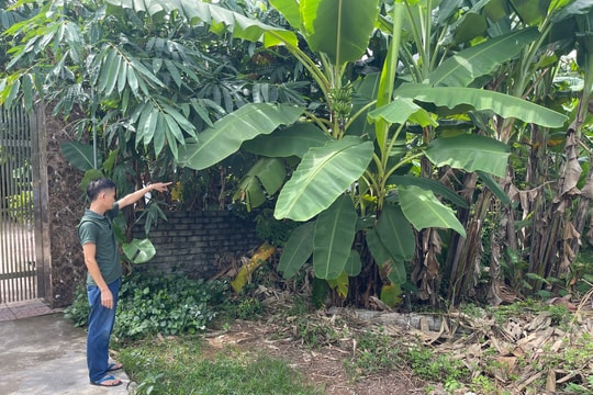 Cần làm rõ việc chậm cấp đổi Giấy chứng nhận quyền sử dụng đất cho người dân tại huyện Quỳnh Lưu