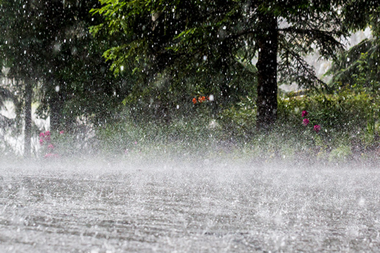 Ngày và đêm 15/9, Nghệ An có mưa vừa, mưa to, có nơi mưa rất to và dông