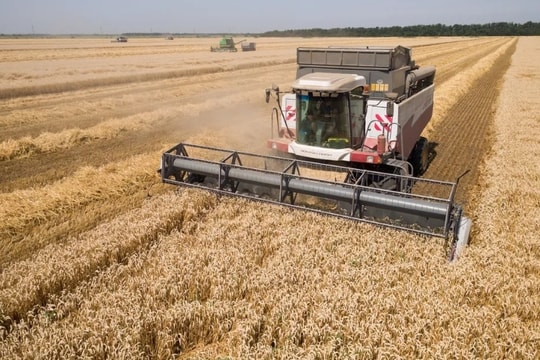 Báo Mỹ cho rằng Nga trở thành nước thống trị thế giới về ngũ cốc